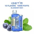 IGET FLARE B10000 – Blueberry Mint - Vape Shop Inodre